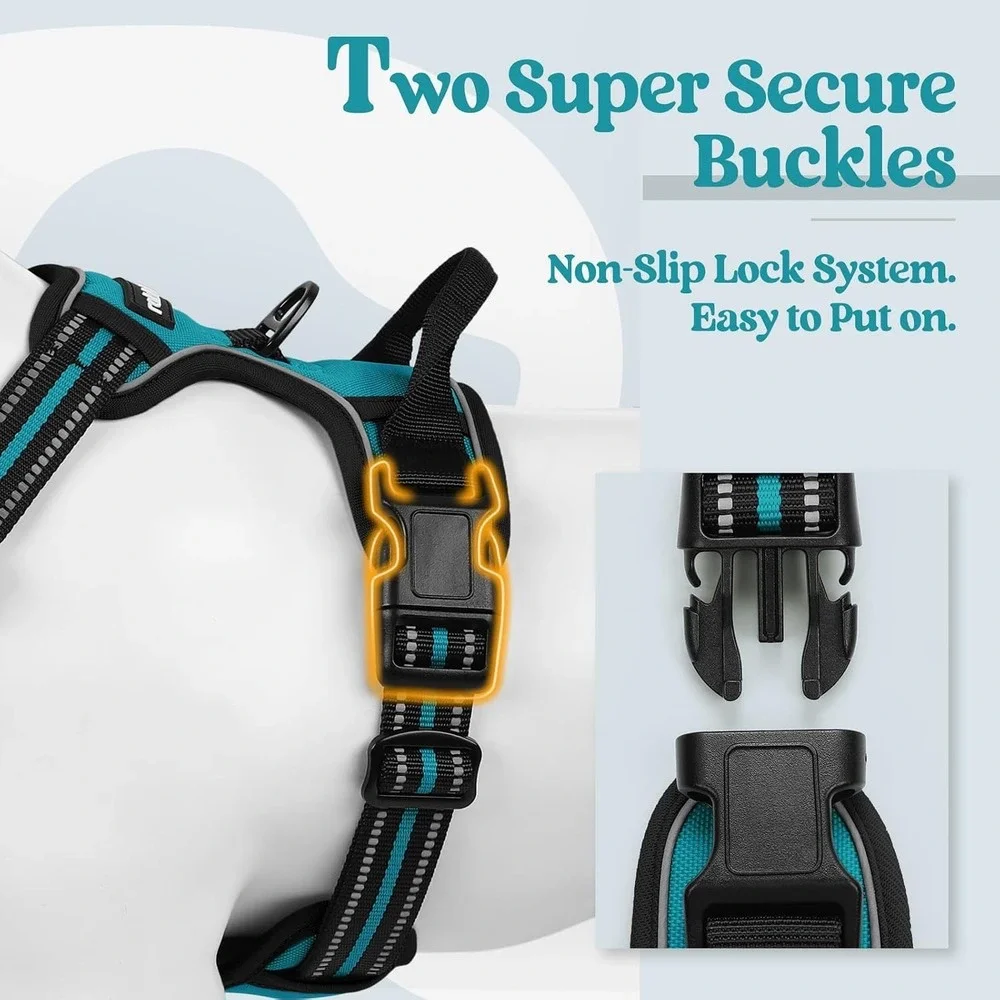 Rabbitgoo Dog Harness XS Teal No Pull Reflective Mesh Adjustabl Walking Vest Pet